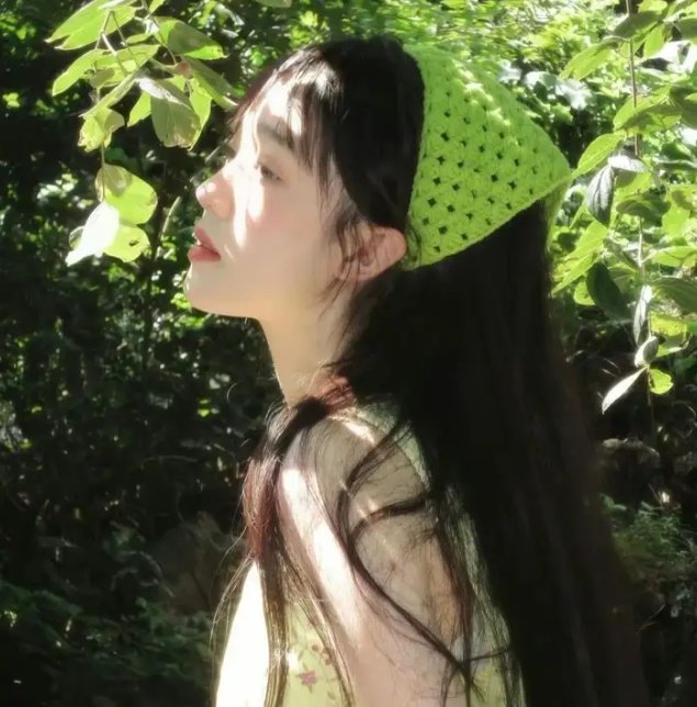 维京萨迦